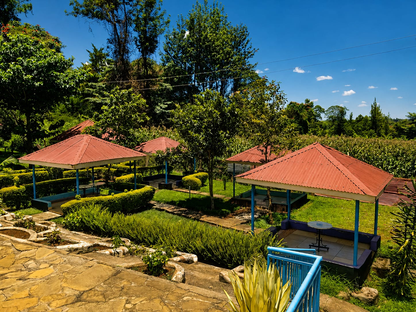 LE-VOYAGE garden landscape